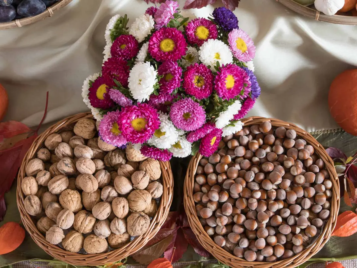Erntedankaltar in der Hofkirche