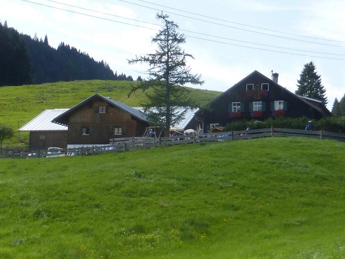 Alpe Gerstenbrändle 2015
