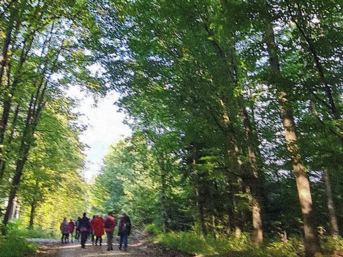 Auf dem Weg (Bild: Mandy Knorr)