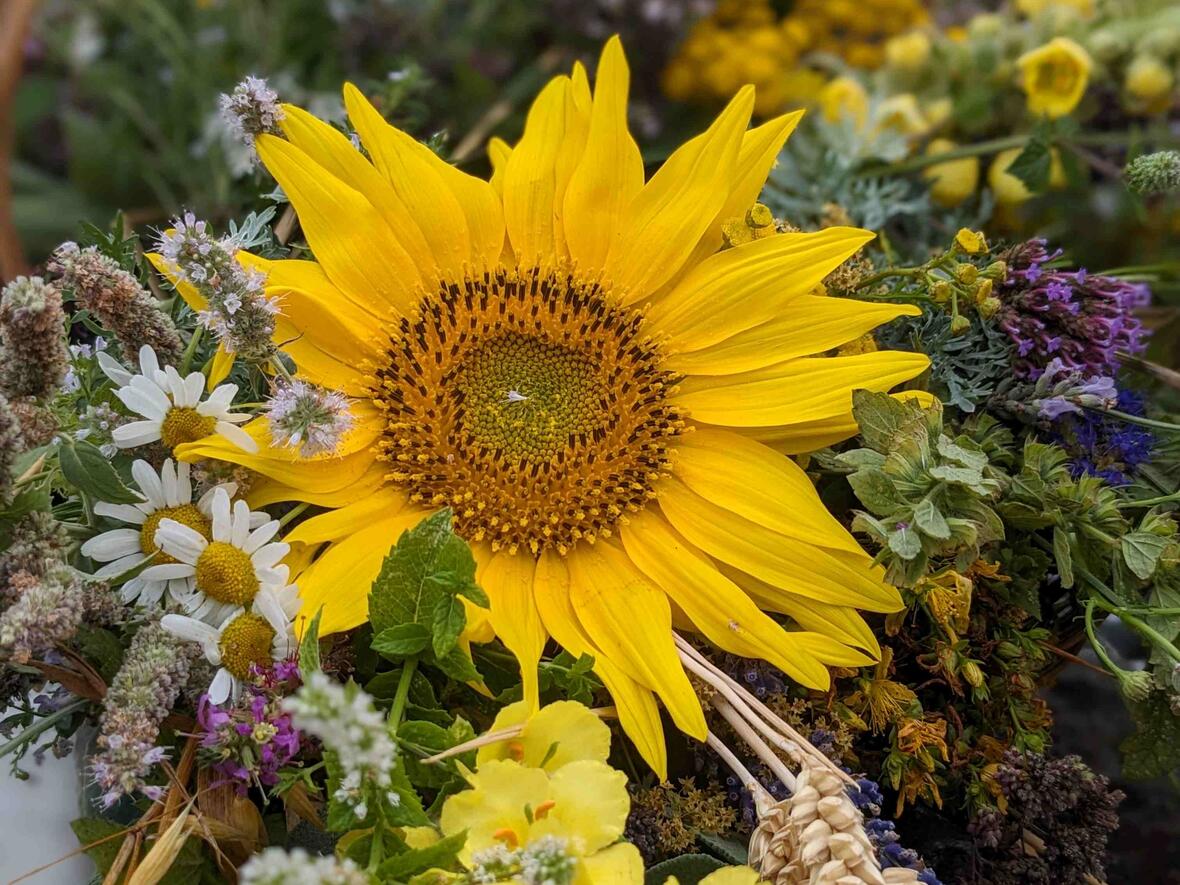 Fleißige Helferinnen hatten wohlriechende Kräuterbuschen gebunden.