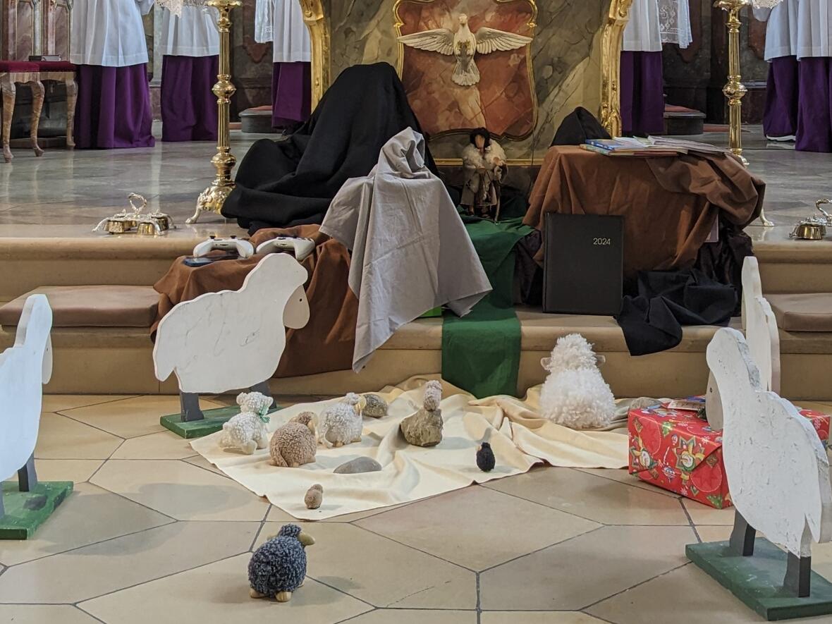 Die Schafe haben den Hirten wieder im Blick.