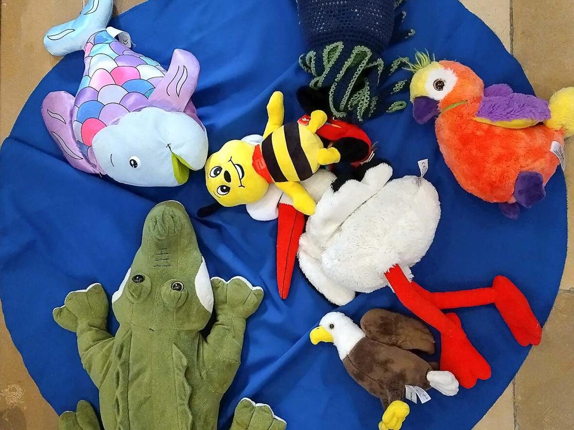 Am fünften Tag machte Gott die Fische und die Vögel.