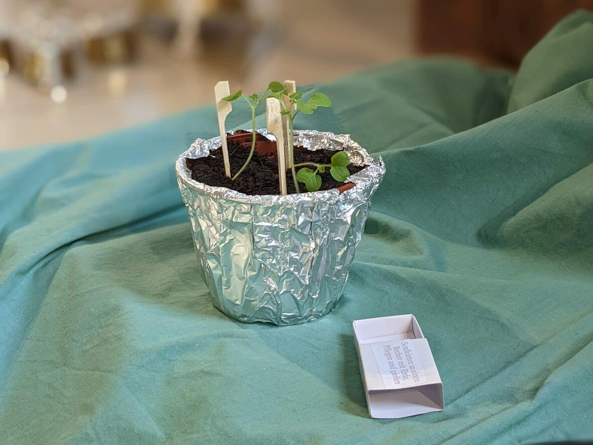 Aus einem kleinen Samenkorn gewachsen