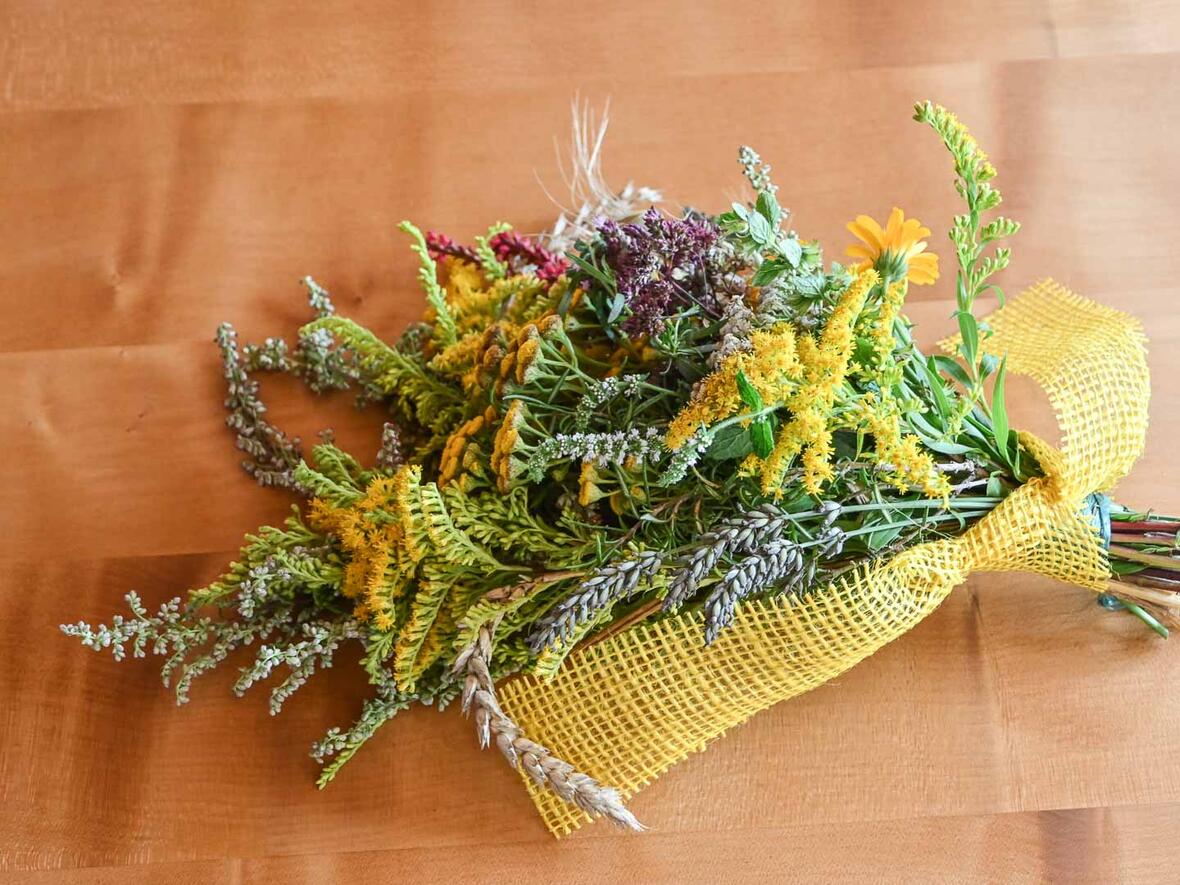 Ein einzelner Kräuterbuschen