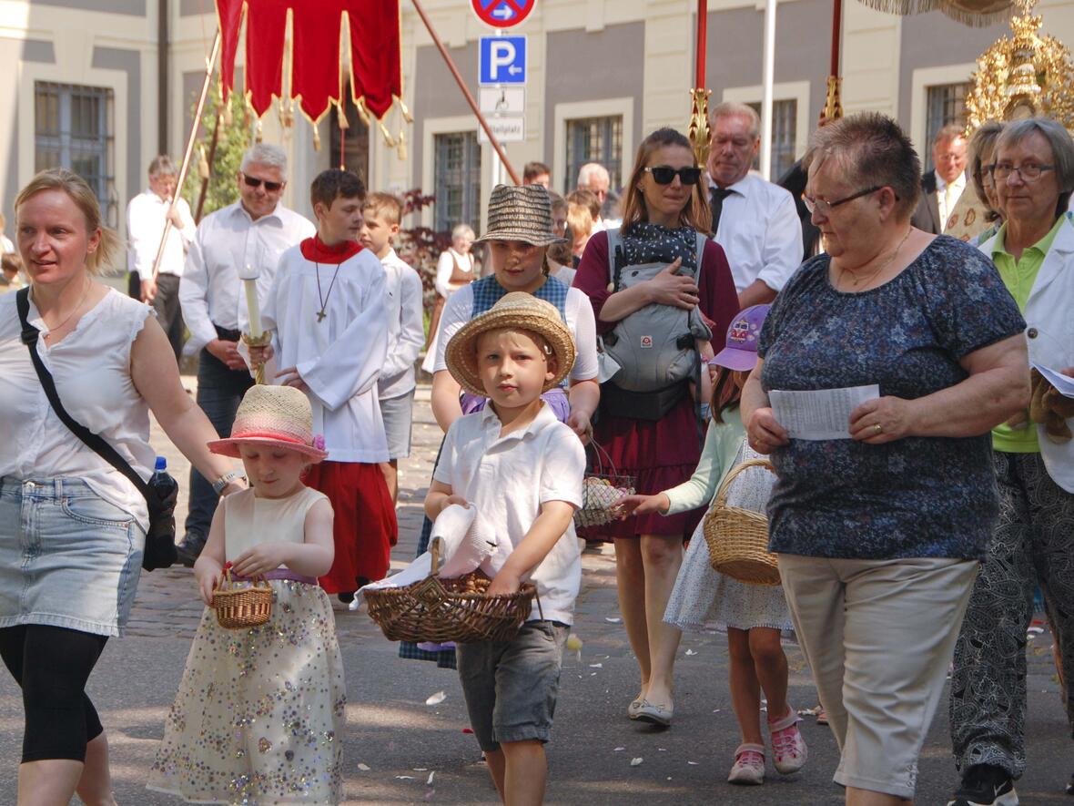 Kinder streuten Blumen auf dem Weg.