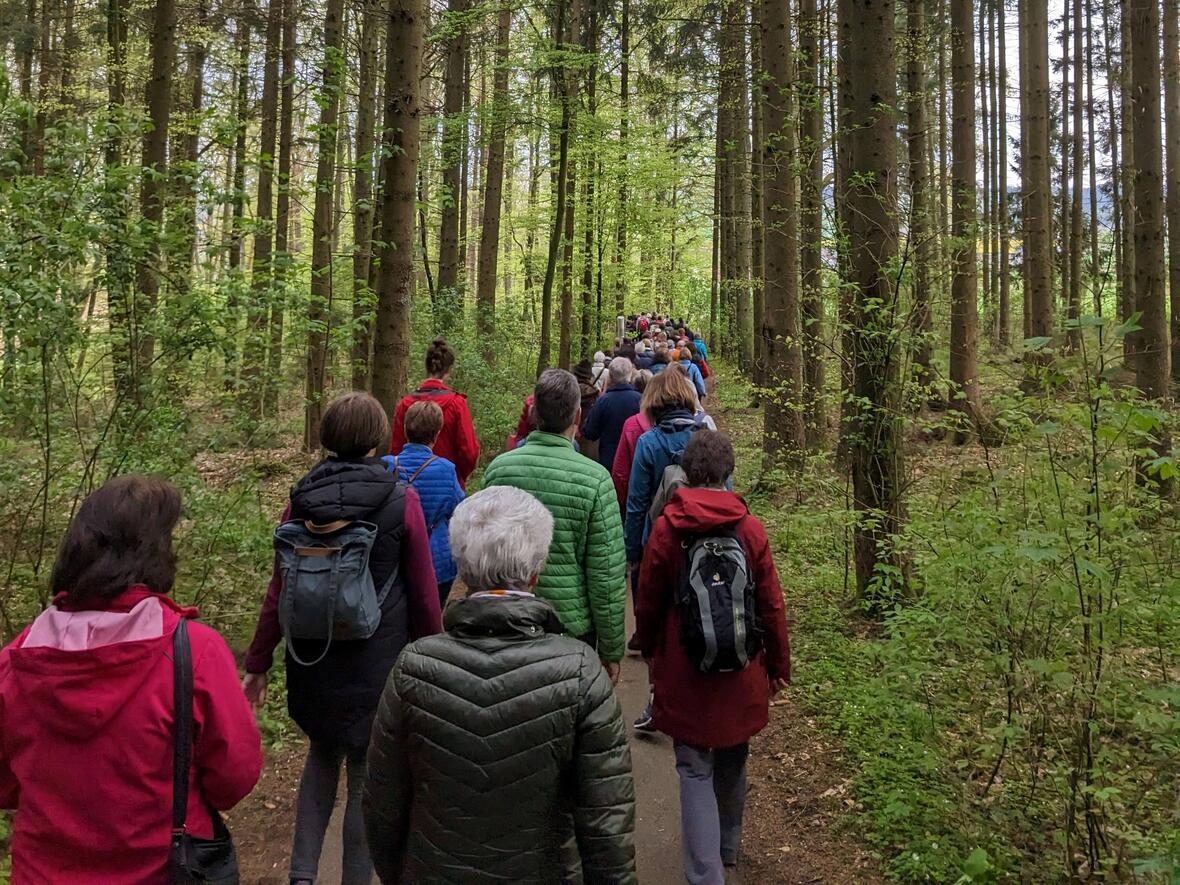 Durch grüne Wälder nach Bergen.