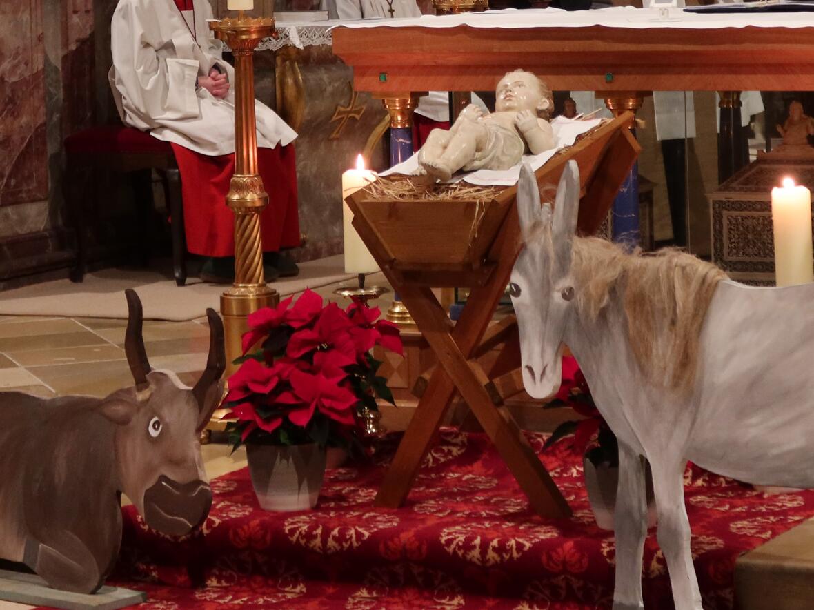 Ochs und Esel haben uns was zu sagen.