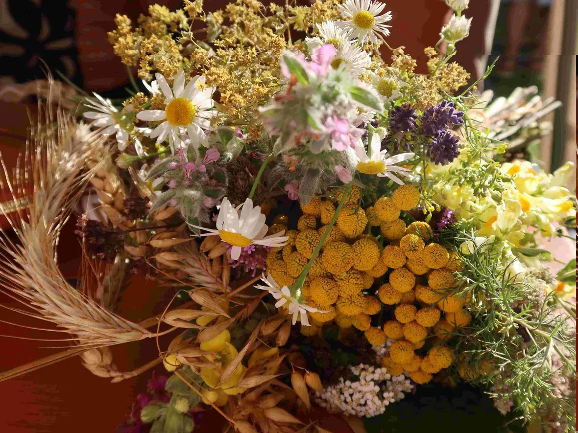 Kräuterbuschen prägten an Maria Himmelfahrt allerorts das Bild.