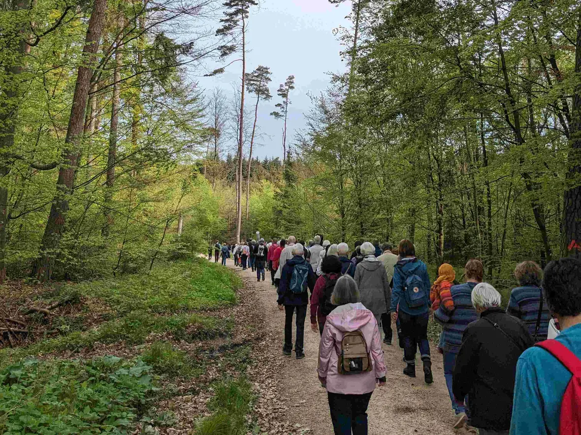 Ca. 100 Pilger gingen den Weg singend und betend ...