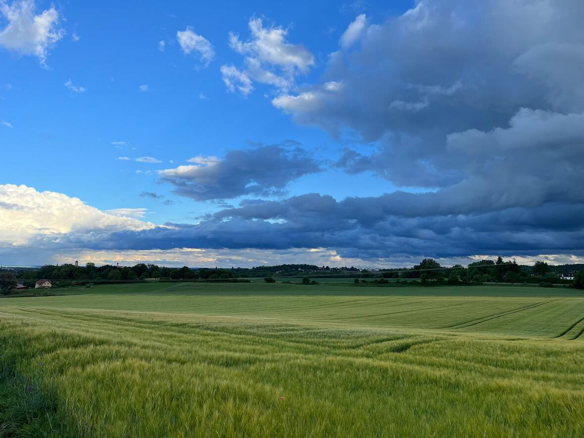 Blick über die Fluren von Laisacker