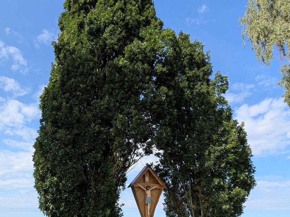 Die sich zuneigenden Bäume bilden einen wunderbaren Rahmen für das Kreuz.