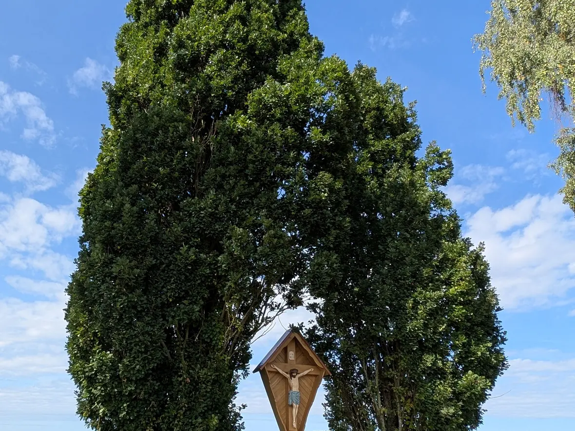 Die sich zuneigenden Bäume bilden einen wunderbaren Rahmen für das Kreuz.