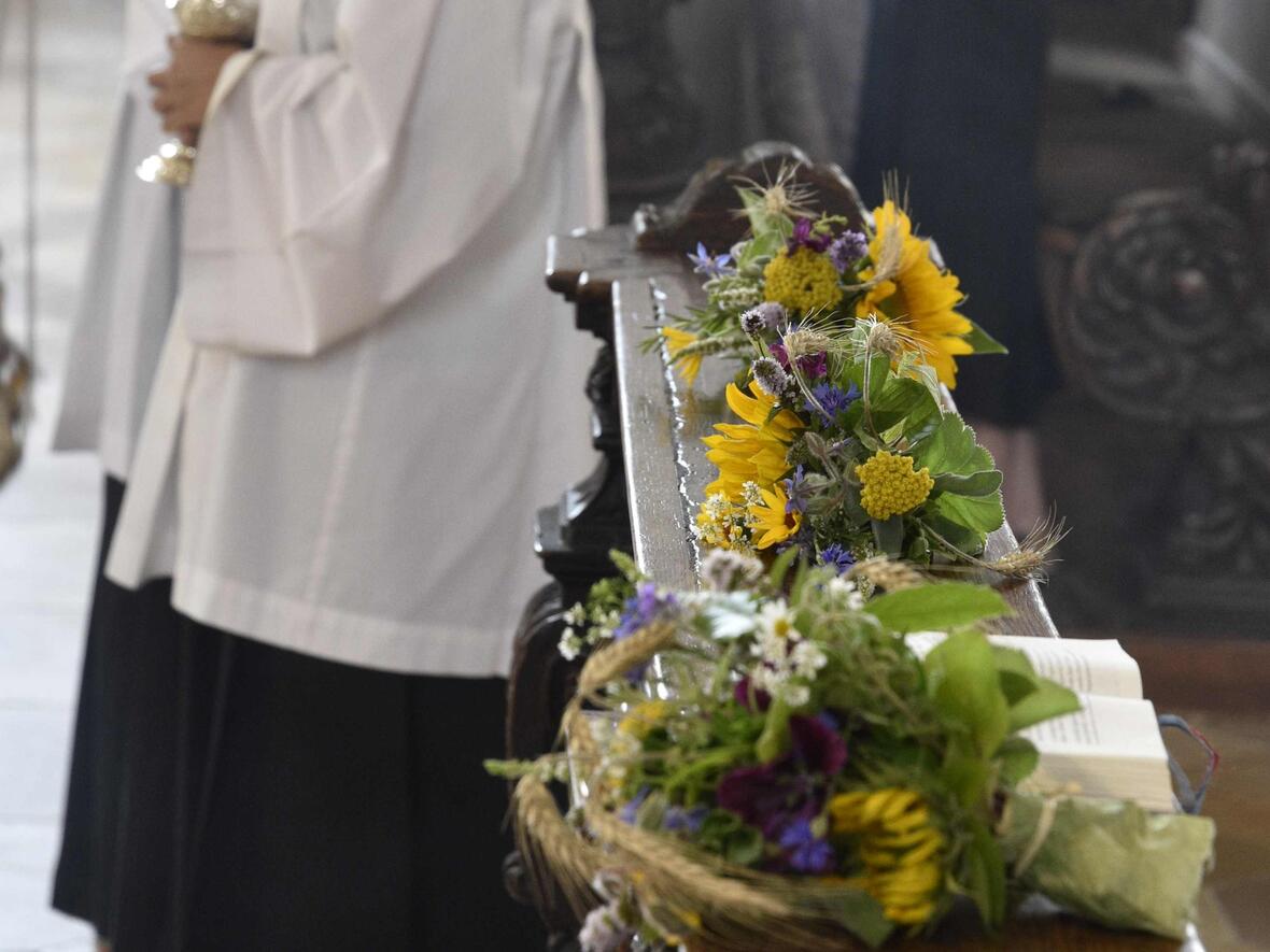 Kräuter - Zeichen der Linderung und Heilung