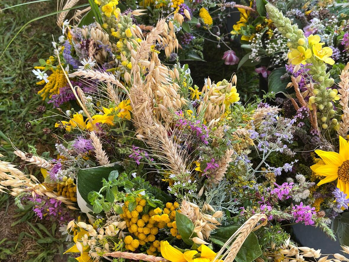 Die Ergebnisse konnten sich wirklich sehen lassen.