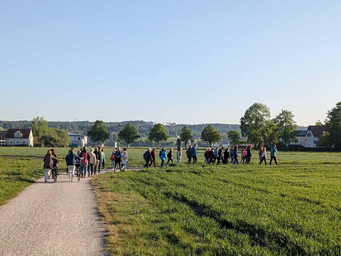 Auf einem schönen neuen Weg nach der Donaubrücke unterhalb des Donaudamms.