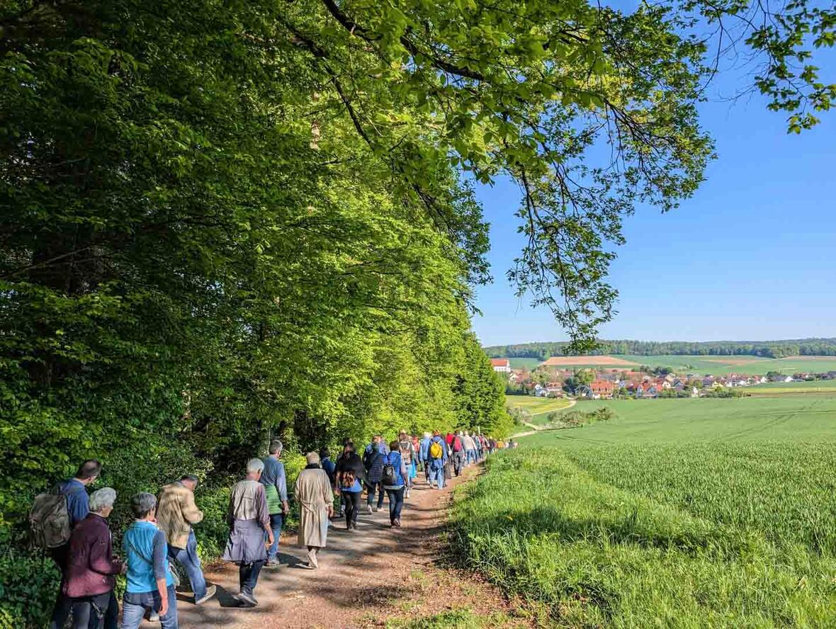 Der Blick auf Baring am Waldrand entlang - immer wieder wunderbar.