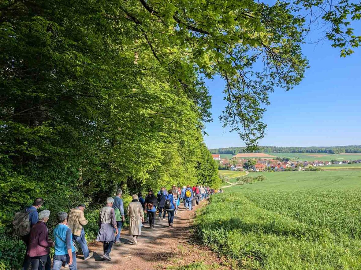 Der Blick auf Baring am Waldrand entlang - immer wieder wunderbar.