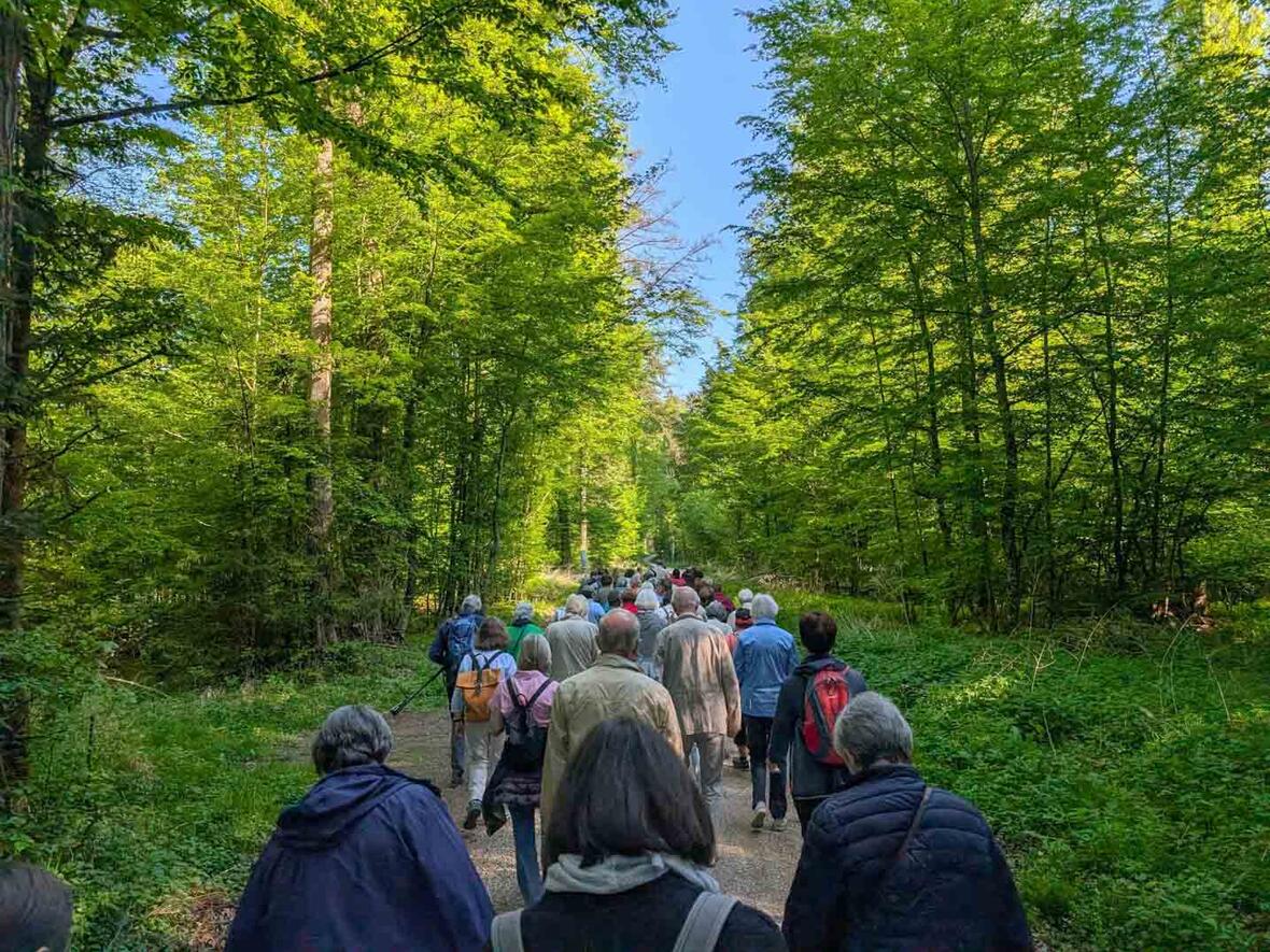 Wallfahrt nach Baring 2025