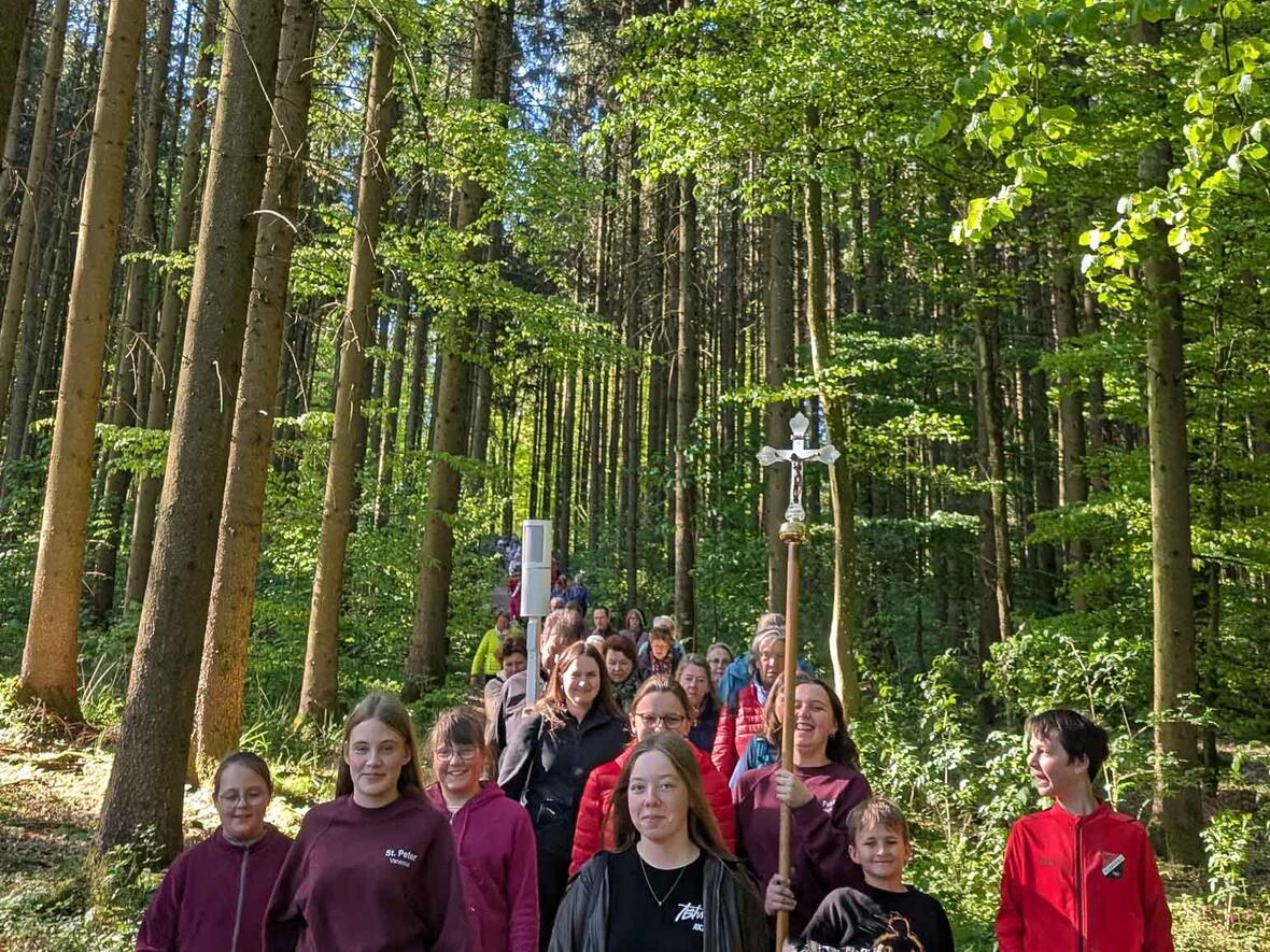 ... und aus dem Wald.