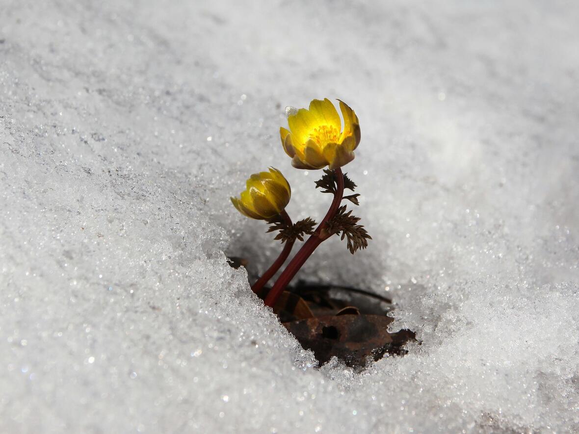 Das Staunen über die Wunder und Schönheit - auch hier kann man Gott fühlen.