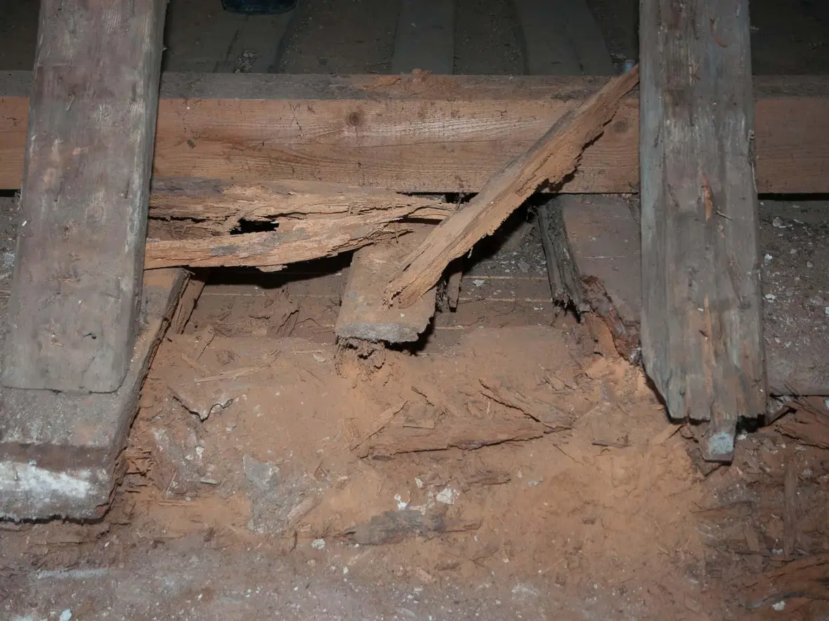 st-peter-das-war-nicht-geplant_02_lightbox