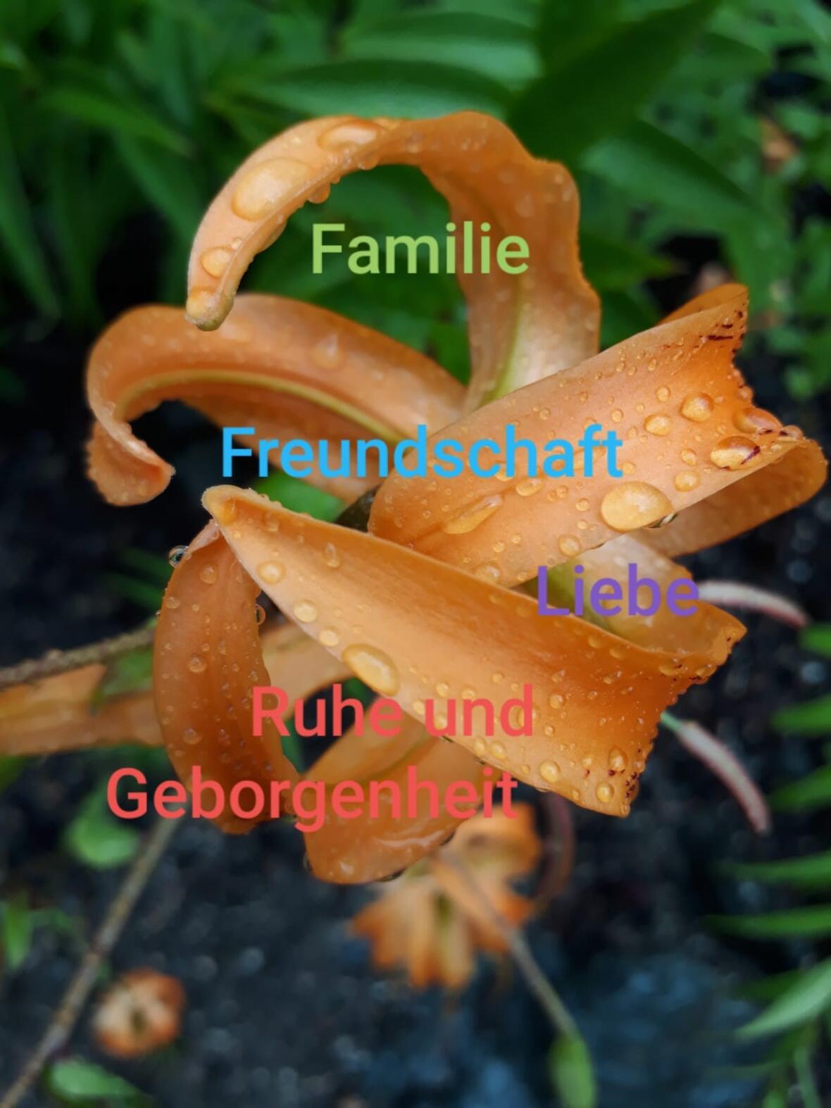 Foto-Challenge unserer Firmlinge - Bild 4