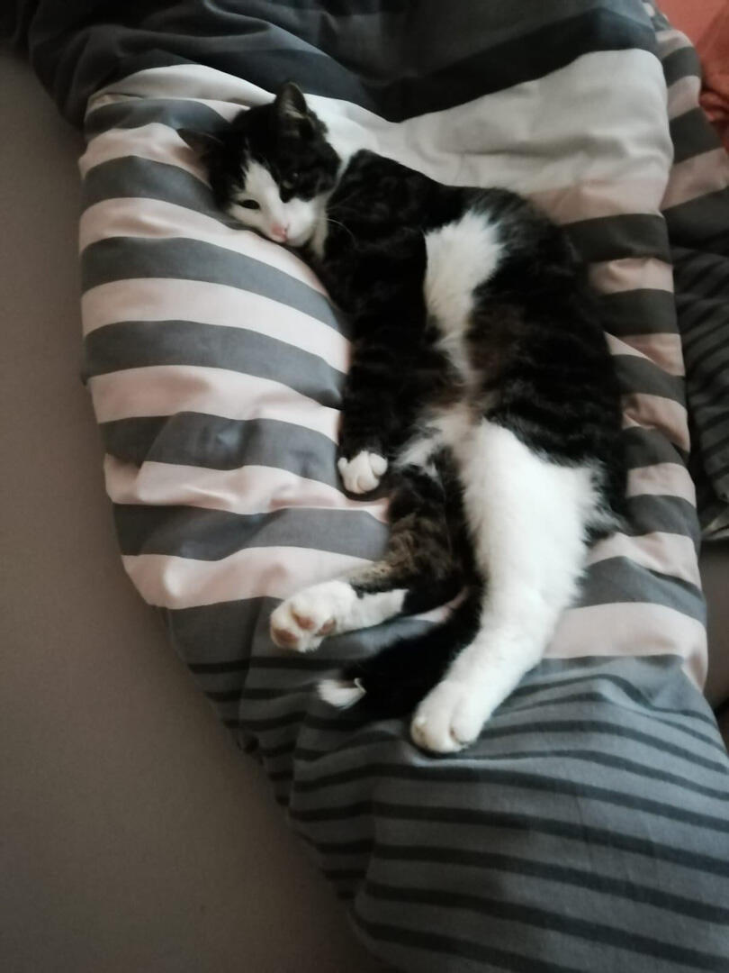 Foto-Challenge unserer Firmlinge - Bild 12