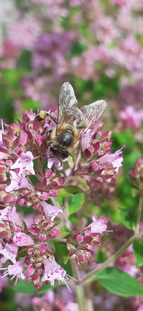 Foto-Challenge unserer Firmlinge - Bild 13