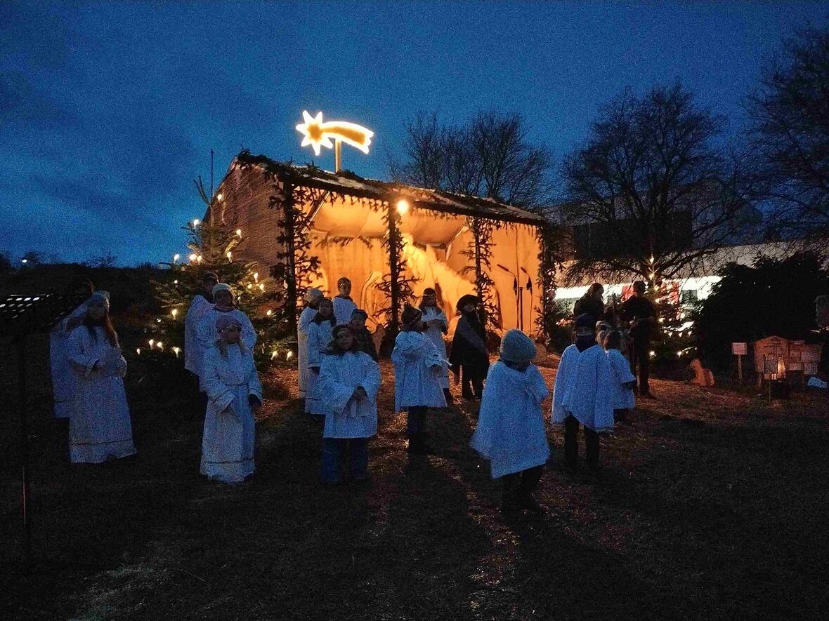krippe-schwalbanger