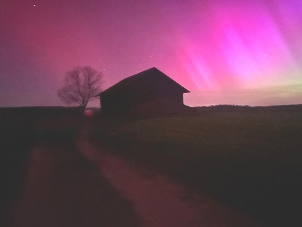 Wochenbrief November 2025