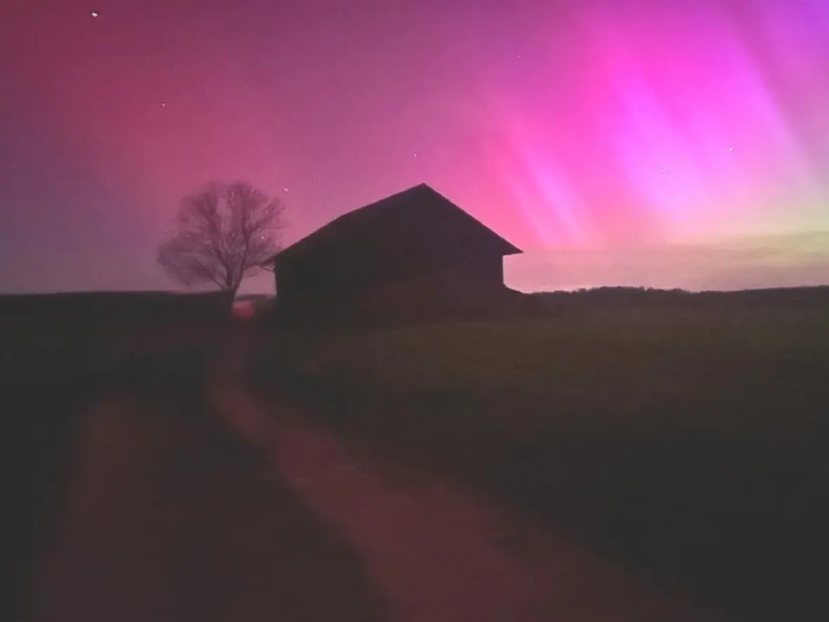 Wochenbrief November 2025