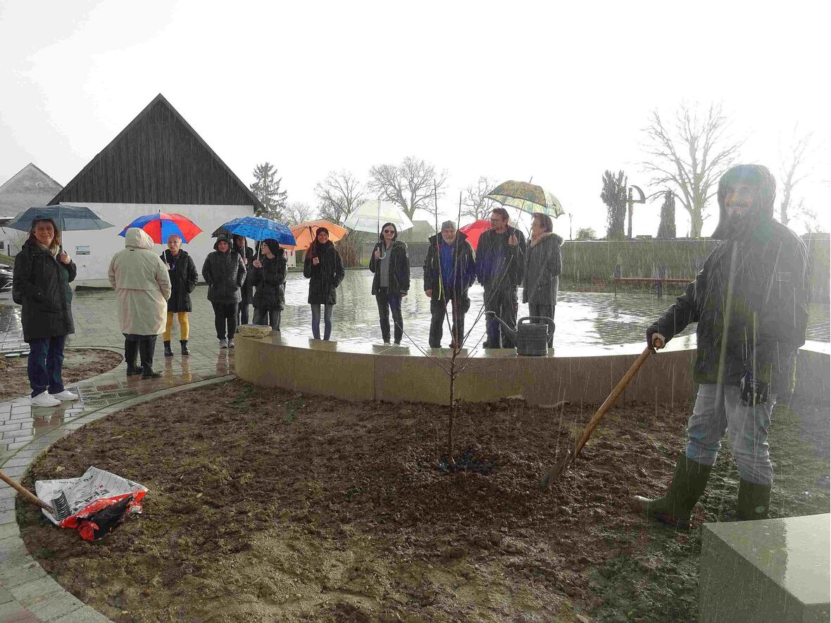 Kaum war der Baum in Wagenhofen gepflanzt, schickte der Himmel den Regen ...