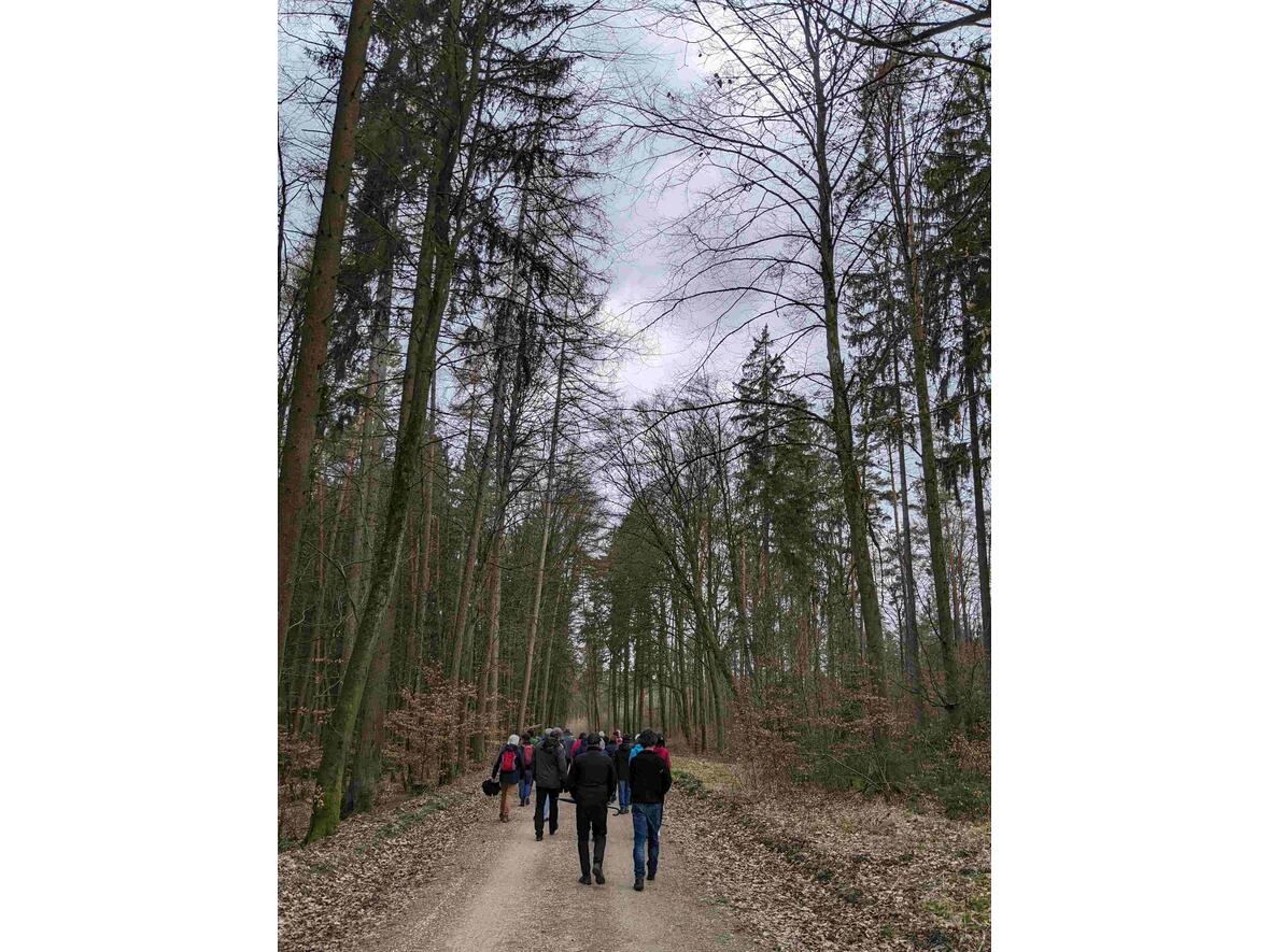 ca. 40 Spaziergänger folgten Alfred Hornung