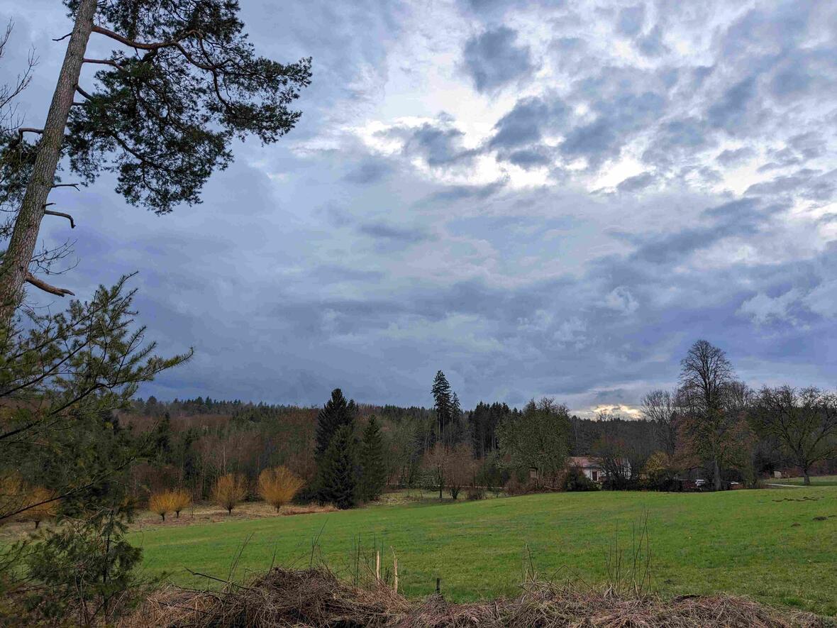Aus dem Wald über die Lichtung zum Forsthaus.