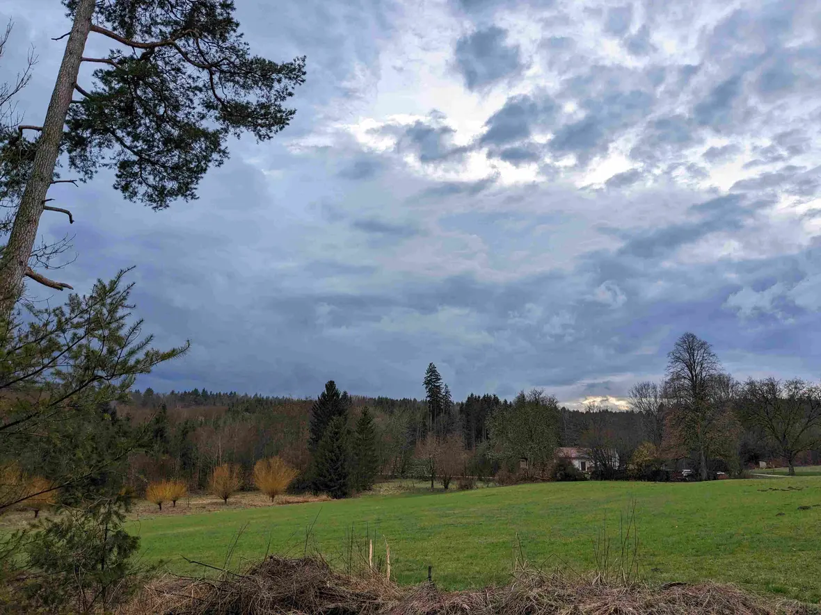 Aus dem Wald über die Lichtung zum Forsthaus.